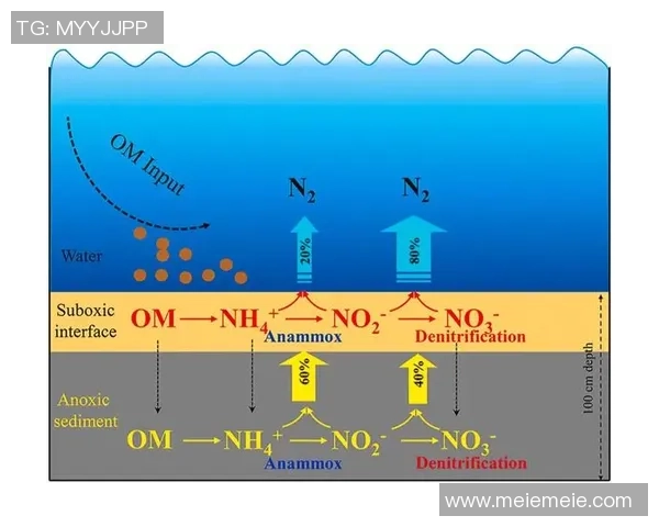 广州足球队包夹体系解析：战术运用与比赛效果的深度探讨