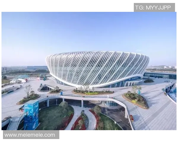 武汉网球队的阵地战解析与未来发展展望