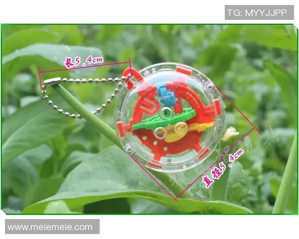 深圳飞盘队耐力对比深度解析与训练方法探讨 深圳飞盘队耐力对比深度解析与训练方法探讨