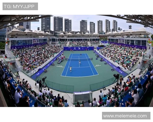 广州网球队的整体压制策略与技术解析深度剖析网球运动的魅力与挑战